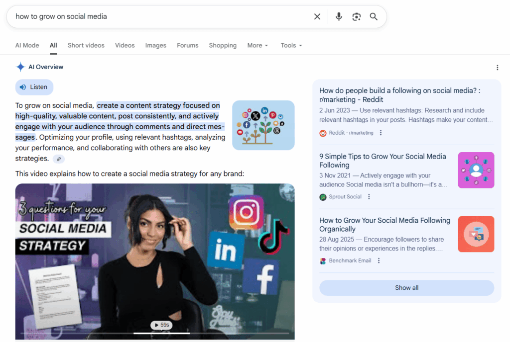 Google AI overview for the query ‘how to grow on social media’