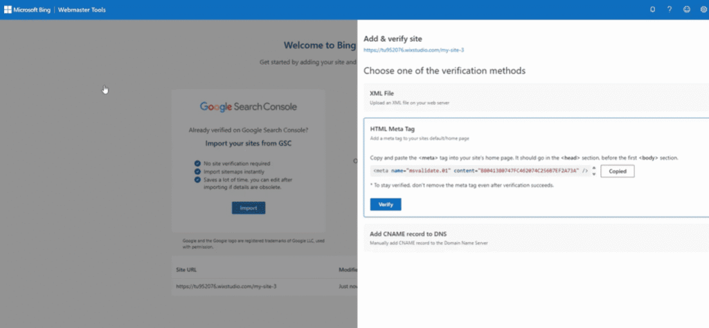 Microsoft Webmaster Tools site verification options screen